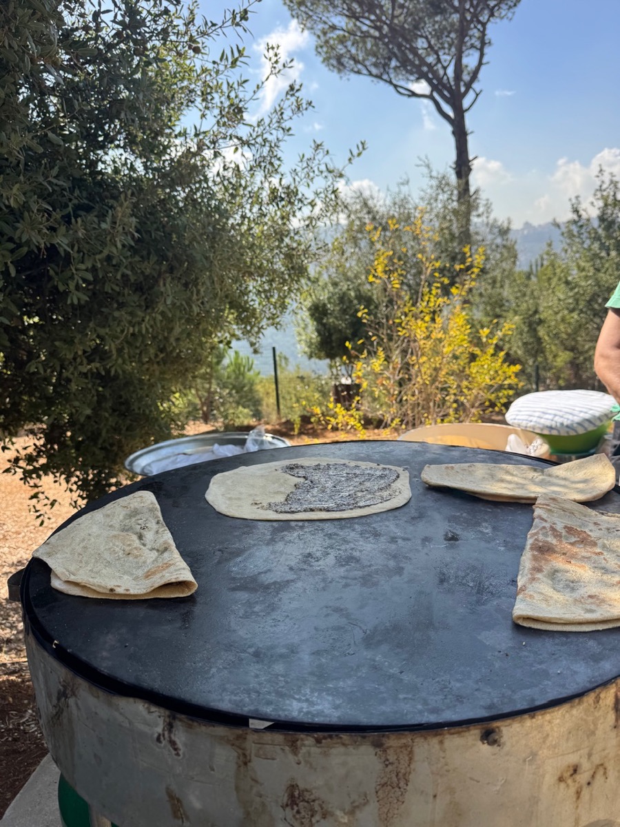 We Design Beirut Diaries- At Saloua Raouda Choucair Foundation